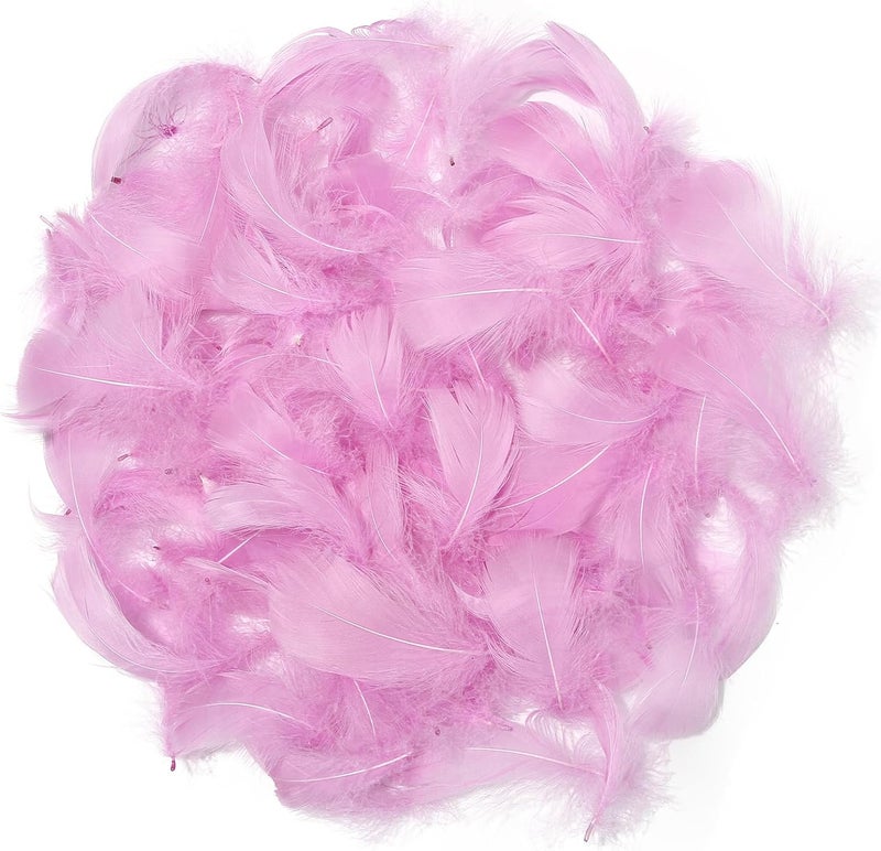 Lamar Feather 300pcs Lavender Feathers 2-3 Inches Bulk Feathers for Crafting, Dream Catcher Accessories, Art Projects, DIY Crafting, Handi Crafts, Party Decoration (Lavender) - Image 3